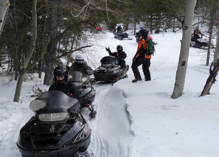 Snowmobil Leech Lake